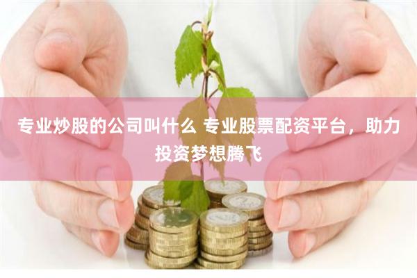 专业炒股的公司叫什么 专业股票配资平台，助力投资梦想腾飞
