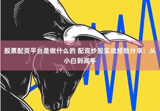 股票配资平台是做什么的 配资炒股实战经验分享：从小白到高手