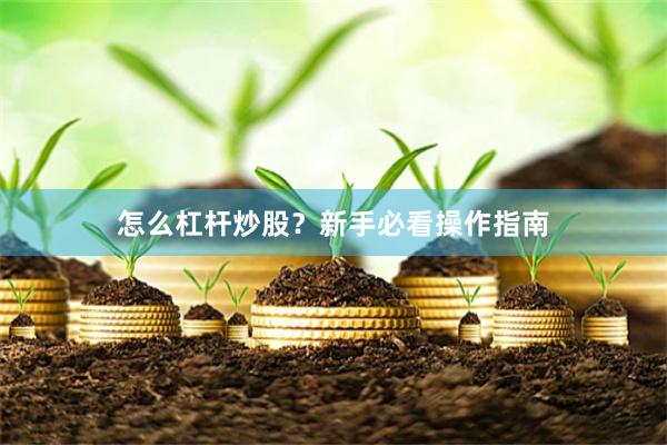 怎么杠杆炒股?新手必看操作指南